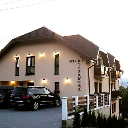 Vila Alexandra Sovata Esterno foto
