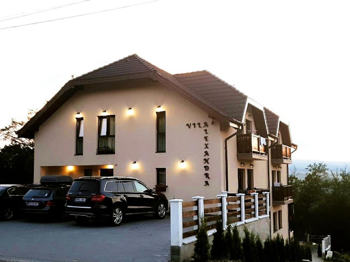 Vila Alexandra Sovata Esterno foto